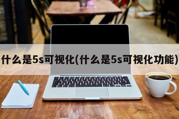 什么是5s可视化(什么是5s可视化功能)