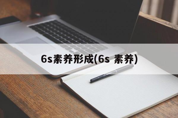 6s素养形成(6s 素养)